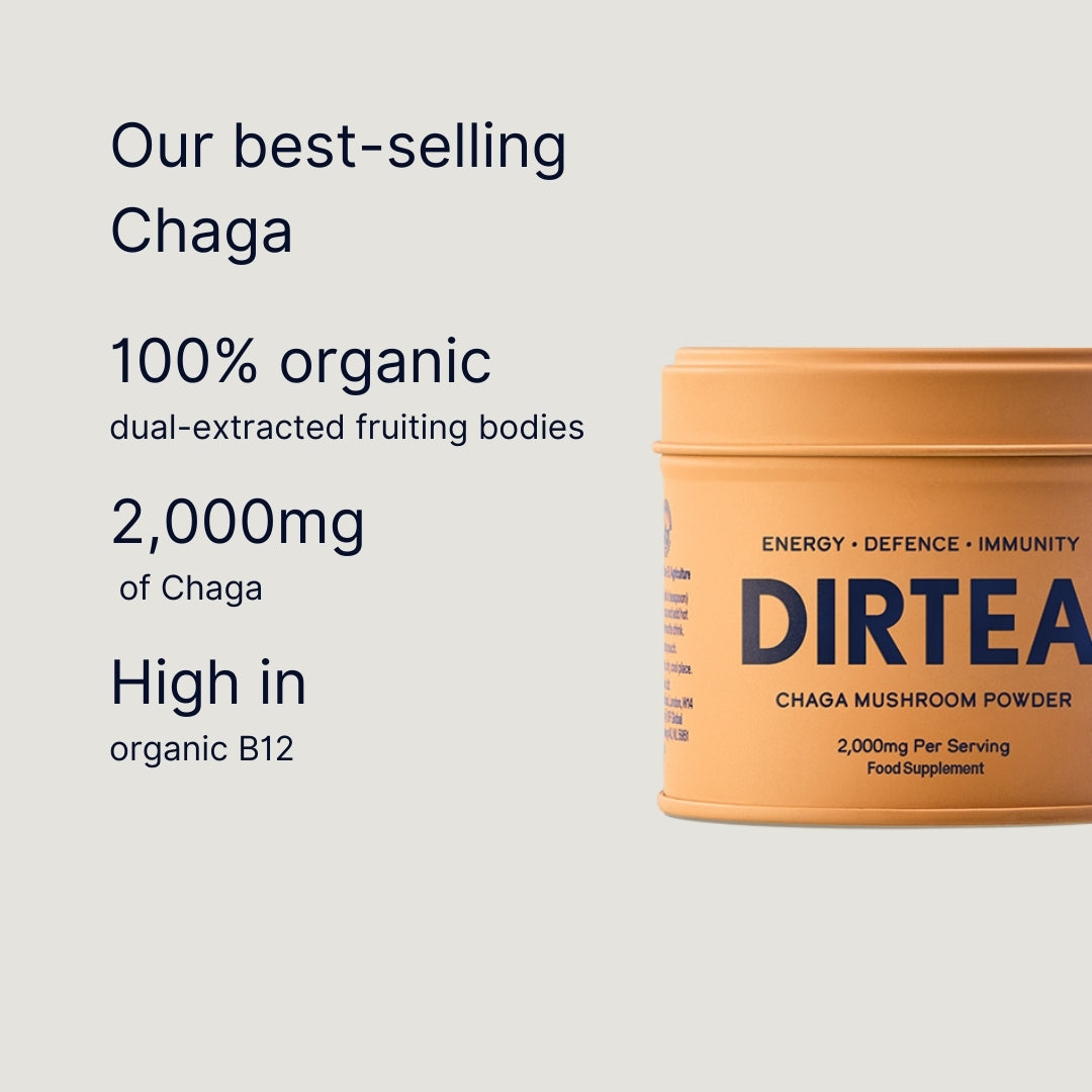Chaga Mushroom Powder - 3 month