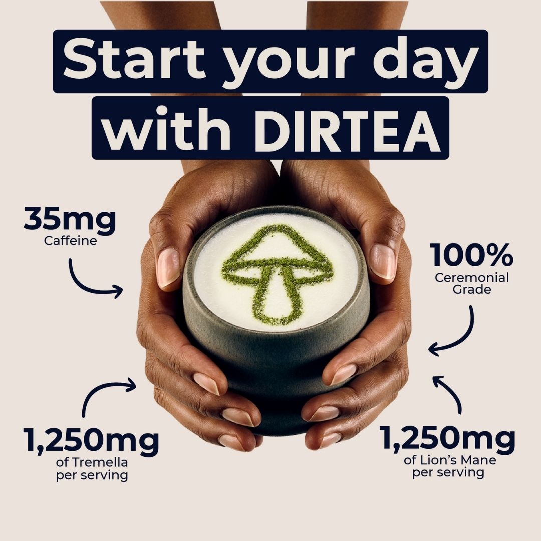 DIRTEA Matcha (Intl.)