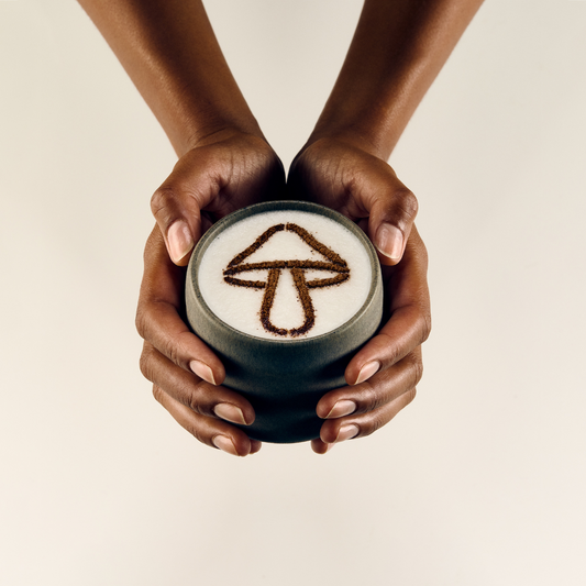 A Beginners Guide to Functional Mushroom Gummies, Powders and Super Blends