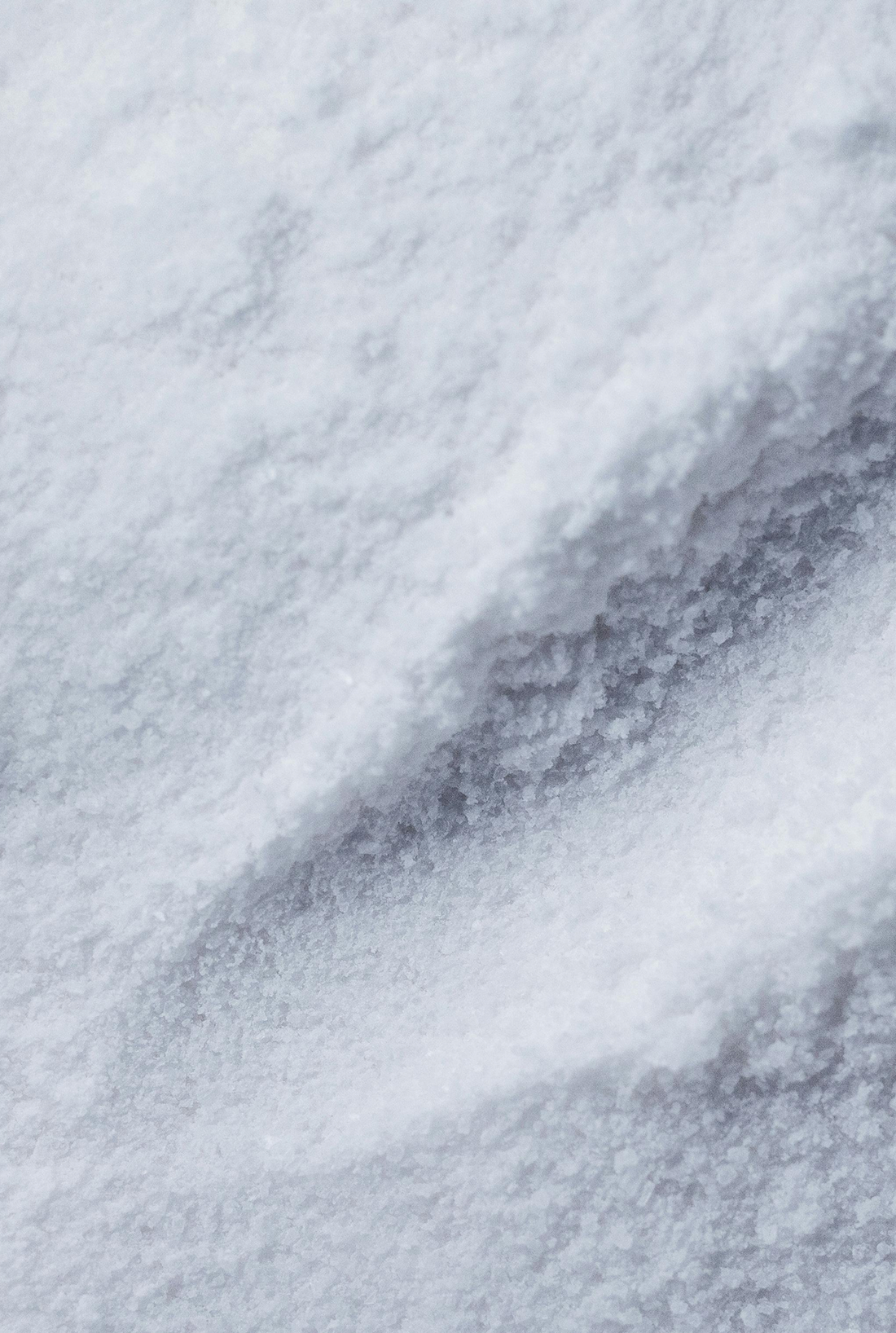 Does Creatine Cause Bloating? Here’s the Truth