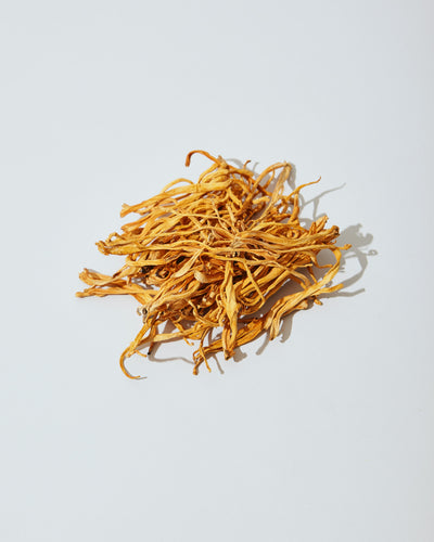 Introducing DIRTEA Cordyceps